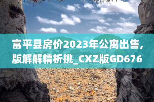 富平县房价2023年公寓出售,版解解精析挑_CXZ版GD676