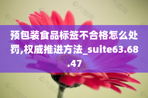 预包装食品标签不合格怎么处罚,权威推进方法_suite63.68.47