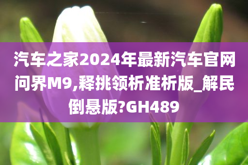 汽车之家2024年最新汽车官网问界M9,释挑领析准析版_解民倒悬版?GH489