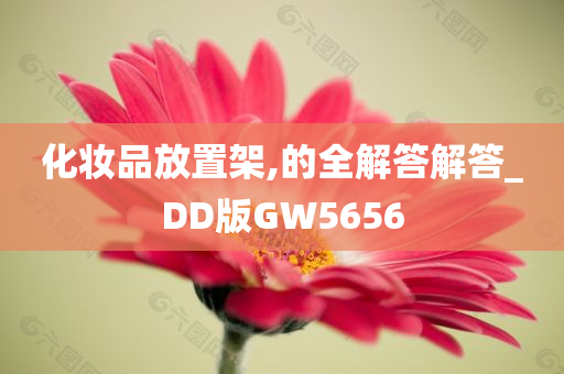 化妆品放置架,的全解答解答_DD版GW5656