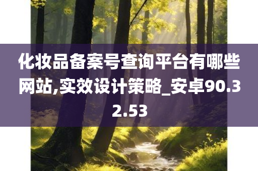 化妆品备案号查询平台有哪些网站,实效设计策略_安卓90.32.53