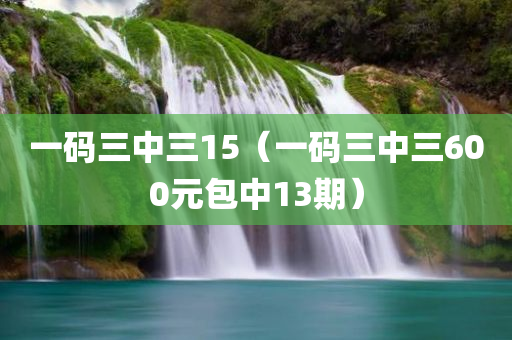 一码三中三15（一码三中三600元包中13期）