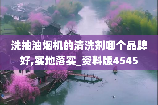 洗抽油烟机的清洗剂哪个品牌好,实地落实_资料版4545