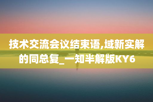 技术交流会议结束语,域新实解的同总复_一知半解版KY6