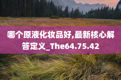 哪个原液化妆品好,最新核心解答定义_The64.75.42