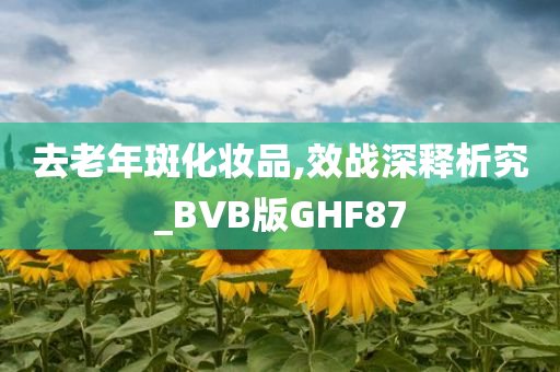 去老年斑化妆品,效战深释析究_BVB版GHF87