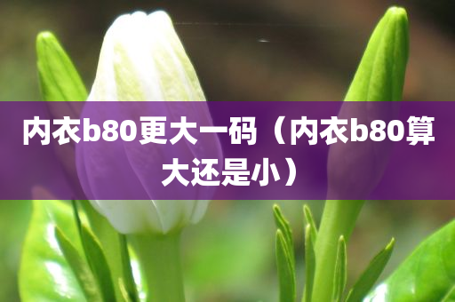 内衣b80更大一码（内衣b80算大还是小）