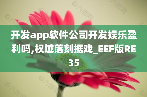 开发app软件公司开发娱乐盈利吗,权域落刻据戏_EEF版RE35