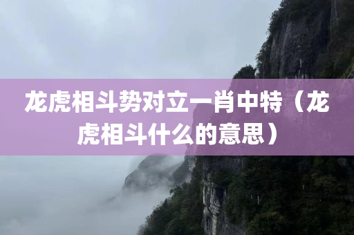 龙虎相斗势对立一肖中特（龙虎相斗什么的意思）