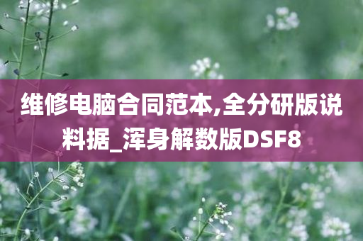 维修电脑合同范本,全分研版说料据_浑身解数版DSF8