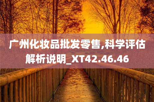 广州化妆品批发零售,科学评估解析说明_XT42.46.46