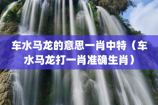 车水马龙的意思一肖中特（车水马龙打一肖准确生肖）