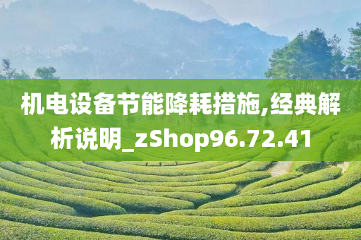 机电设备节能降耗措施,经典解析说明_zShop96.72.41