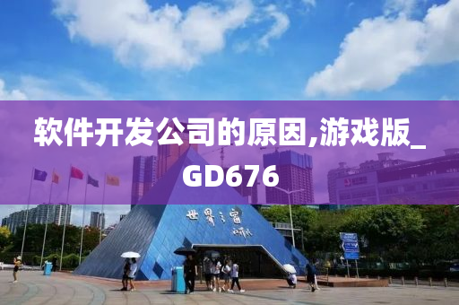 软件开发公司的原因,游戏版_GD676