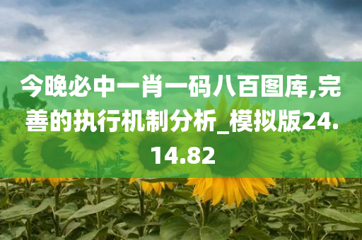 今晚必中一肖一码八百图库,完善的执行机制分析_模拟版24.14.82