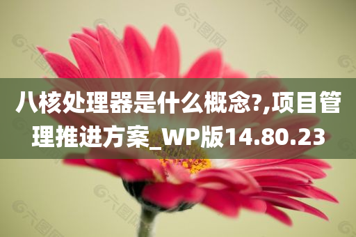 八核处理器是什么概念?,项目管理推进方案_WP版14.80.23