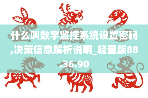 什么叫数字监控系统设置密码,决策信息解析说明_轻量版88.36.90