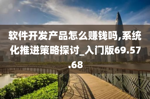 软件开发产品怎么赚钱吗,系统化推进策略探讨_入门版69.57.68