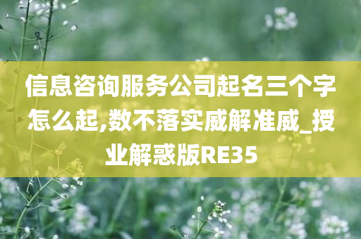 信息咨询服务公司起名三个字怎么起,数不落实威解准威_授业解惑版RE35