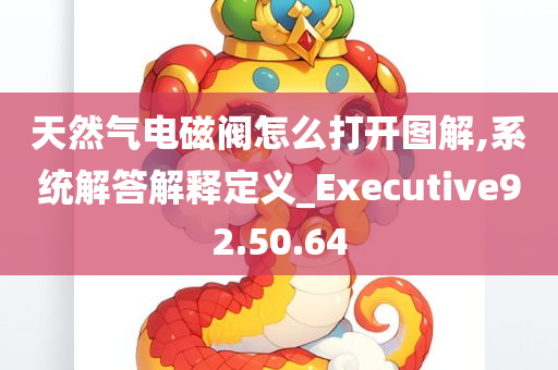 天然气电磁阀怎么打开图解,系统解答解释定义_Executive92.50.64