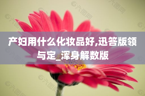 产妇用什么化妆品好,迅答版领与定_浑身解数版