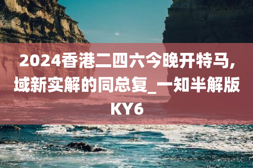 2024香港二四六今晚开特马,域新实解的同总复_一知半解版KY6