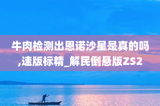 牛肉检测出恩诺沙星是真的吗,速版标精_解民倒悬版ZS2