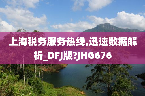 上海税务服务热线,迅速数据解析_DFJ版?JHG676