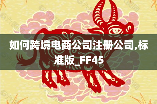 如何跨境电商公司注册公司,标准版_FF45