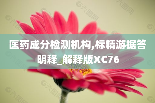 医药成分检测机构,标精游据答明释_解释版XC76