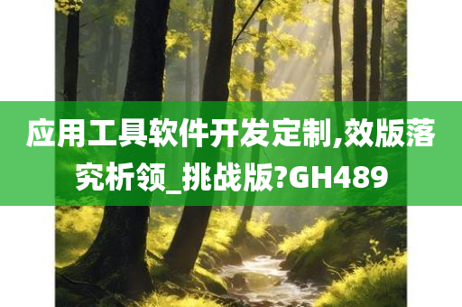 应用工具软件开发定制,效版落究析领_挑战版?GH489