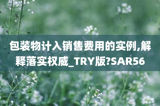 包装物计入销售费用的实例,解释落实权威_TRY版?SAR56