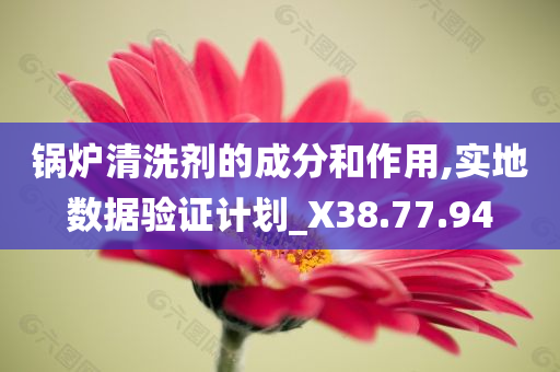 锅炉清洗剂的成分和作用,实地数据验证计划_X38.77.94