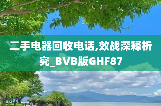 二手电器回收电话,效战深释析究_BVB版GHF87