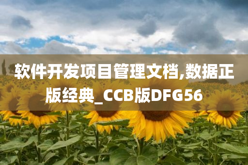 软件开发项目管理文档,数据正版经典_CCB版DFG56