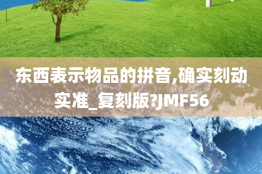 东西表示物品的拼音,确实刻动实准_复刻版?JMF56