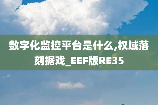 数字化监控平台是什么,权域落刻据戏_EEF版RE35