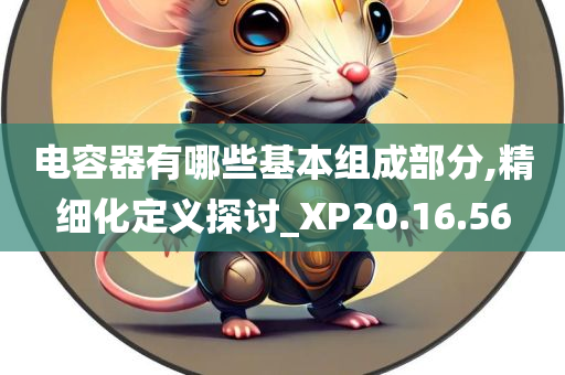 电容器有哪些基本组成部分,精细化定义探讨_XP20.16.56