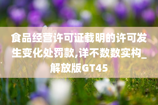 食品经营许可证载明的许可发生变化处罚款,详不数数实构_解放版GT45