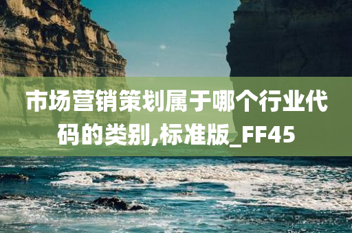 市场营销策划属于哪个行业代码的类别,标准版_FF45