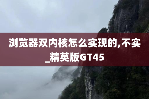 浏览器双内核怎么实现的,不实_精英版GT45