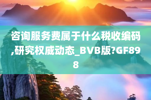 咨询服务费属于什么税收编码,研究权威动态_BVB版?GF898