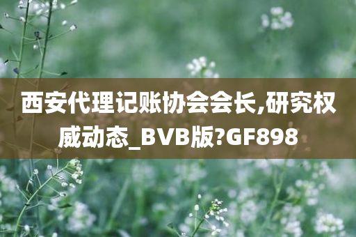 西安代理记账协会会长,研究权威动态_BVB版?GF898