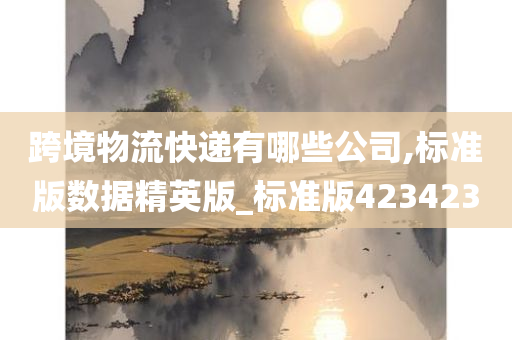 跨境物流快递有哪些公司,标准版数据精英版_标准版423423