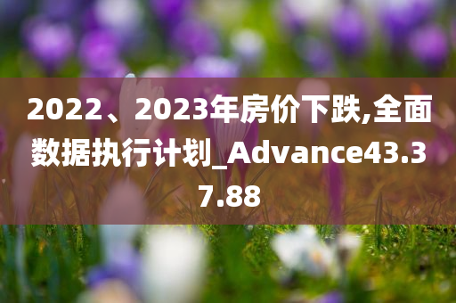 2022、2023年房价下跌,全面数据执行计划_Advance43.37.88