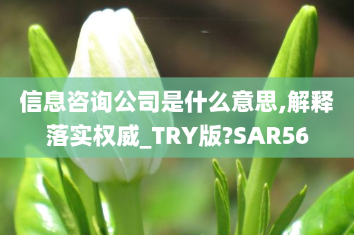 信息咨询公司是什么意思,解释落实权威_TRY版?SAR56