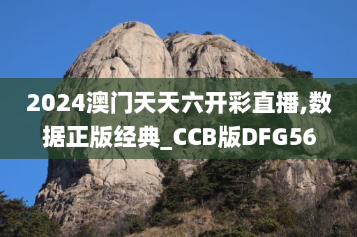 2024澳门天天六开彩直播,数据正版经典_CCB版DFG56