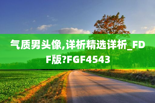 气质男头像,详析精选详析_FDF版?FGF4543