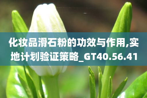 化妆品滑石粉的功效与作用,实地计划验证策略_GT40.56.41