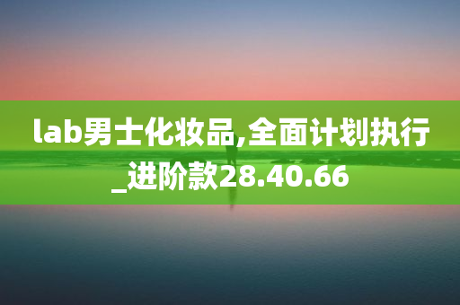 lab男士化妆品,全面计划执行_进阶款28.40.66